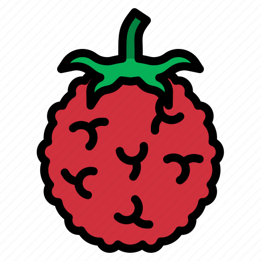 Raspberry, fruit, food, healthy, organic icon - Download on Iconfinder