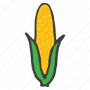 corn, food, fresh, healthy, staple, sweet, vegetable 
