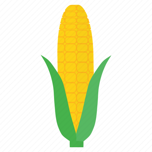 Corn, food, fresh, healthy, staple, sweet, vegetable icon - Download on Iconfinder