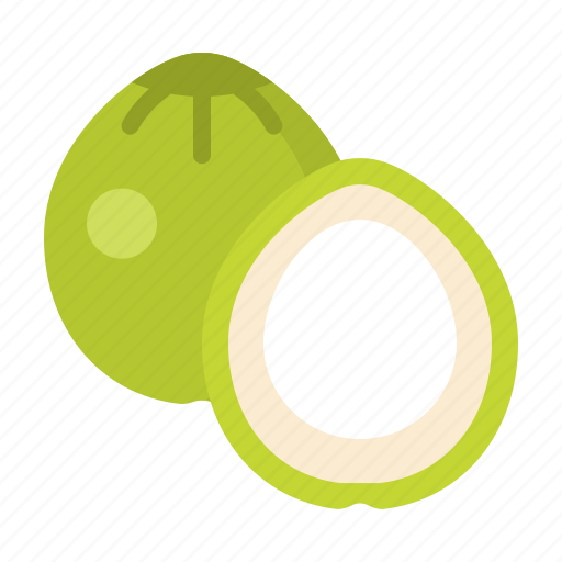 Coconut, food, fresh, fruit, healthy, vitamin icon - Download on Iconfinder