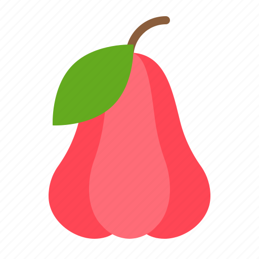 Food, fresh, fruit, healthy, rose apple, vitamin icon - Download on Iconfinder