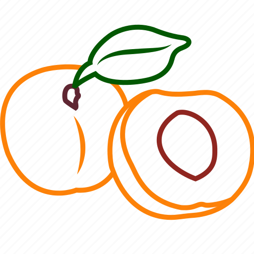 Apricot, apricot juice, food, fruits, fruits icon, healthy food icon - Download on Iconfinder