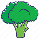 broccoli, food, green flower, healthy food, nature, vegetable, vegetables