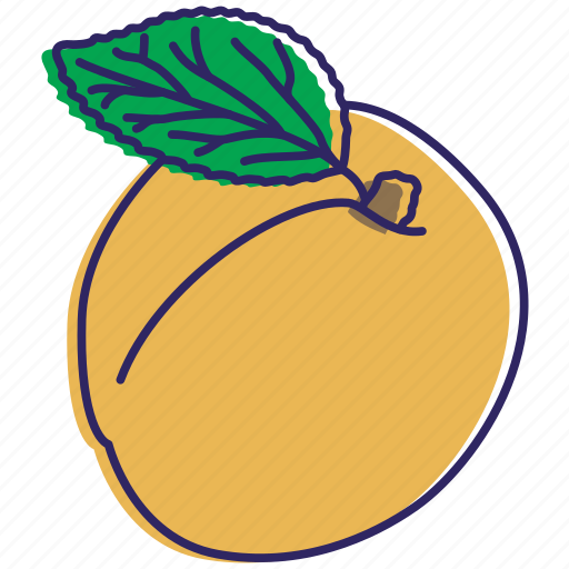 Apricot, apricots, fruit, fruits, healthy food, organic icon - Download on Iconfinder