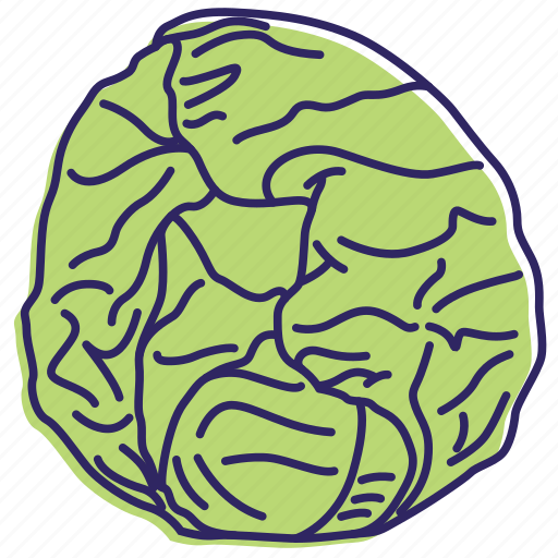 Cabbage, eating, healthy food, kitchen, lunch, vegetable, vegetables icon - Download on Iconfinder