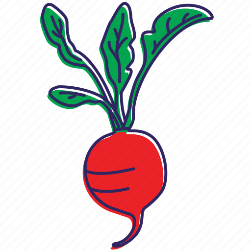 Food, healthy food, organic, red vegetable, vegetable, vegetables icon - Download on Iconfinder