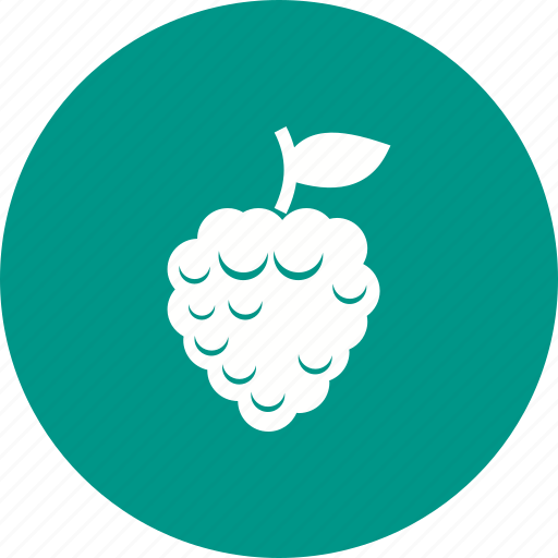 Food, fresh, fruit, organic, peach, raspberry, sweet icon - Download on Iconfinder
