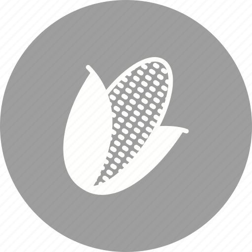 Corn, food, plant, summer, sweet, sweetcorn, yellow icon - Download on Iconfinder