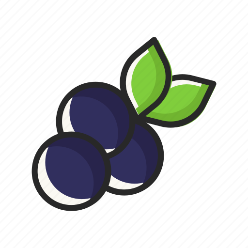 Blueberry, fresh, fruits, vegetables icon - Download on Iconfinder