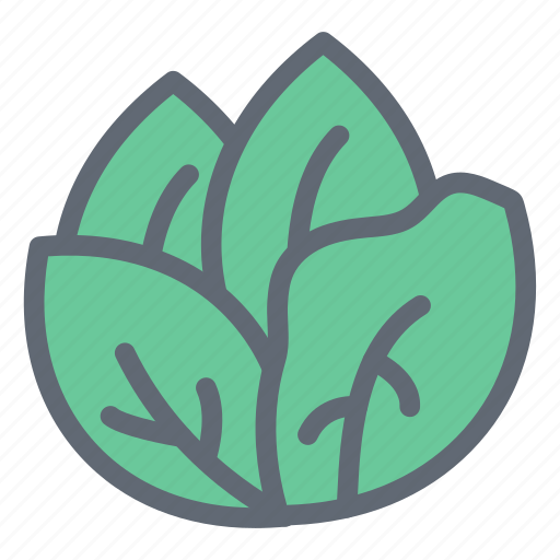 Fresh, garden, plant, food, raw, natural icon - Download on Iconfinder