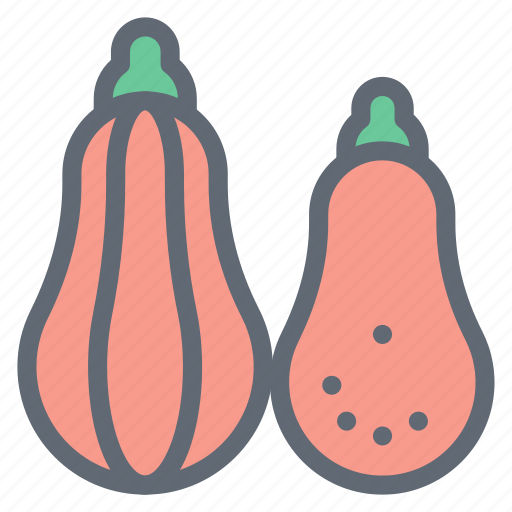 Pumpkin, autumn, food, butternut, vegetable icon - Download on Iconfinder