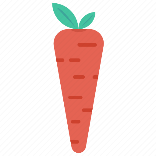 Carrot, food, meal, vegetarian, vitamins icon - Download on Iconfinder