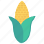 cob, corn, crop, food, vegetable 