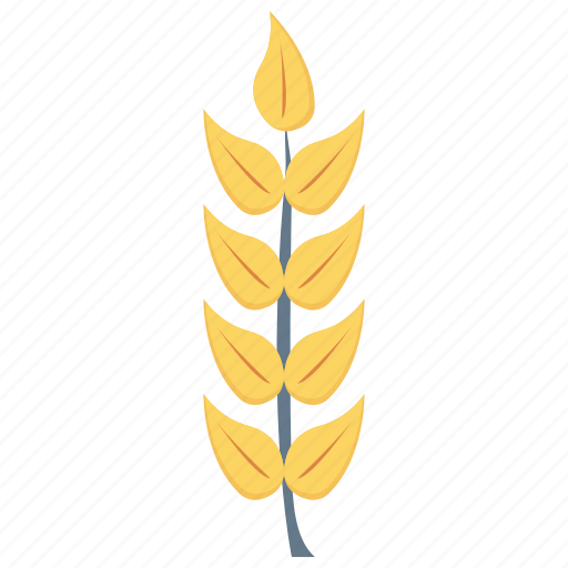 Crop, food, grain, rice, wheat icon - Download on Iconfinder