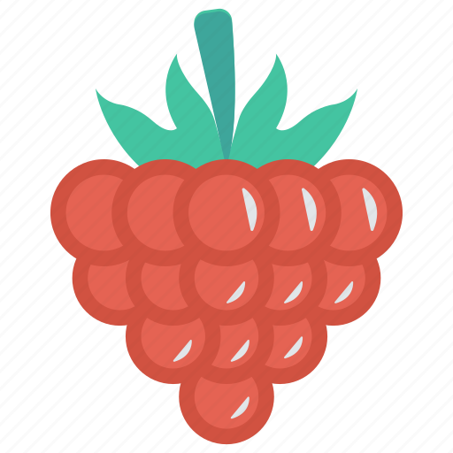 Food, fruit, grapes, healthy, vitamins icon - Download on Iconfinder