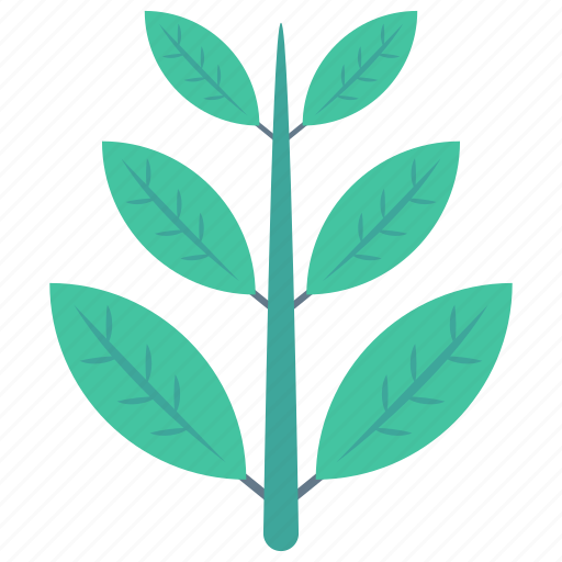 Food, leaf, leave, nature, vegetable icon - Download on Iconfinder