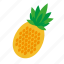 pineapple, fruit, food, nature, kitchen 