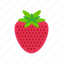 strawberry, berry, food, fruit, sweet, kitchen