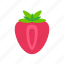 berry, food, fruit, leaf, nature, strawberry, sweet, cooking 