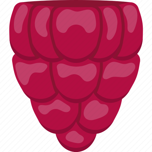 Bush, drupelet, flat, food, fruit, occidentalis, raspberry icon - Download on Iconfinder