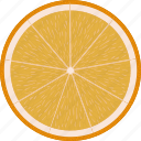 citrous, citrus, flat, orange, peel, rind, tree