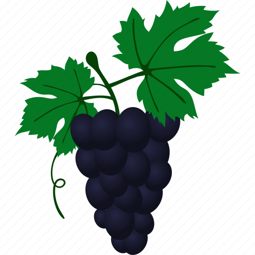 Flat, grape, grapevine, muscadine, slipskin, vine, vino icon - Download on Iconfinder