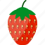 cultivated, flat, food, fresh, fruit, garden, strawberry 