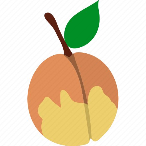 Drupe, edible, flat, fruit, peach, stone, tree icon - Download on Iconfinder