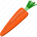 carrot, diet, flat, food, fresh, green, vegetarian
