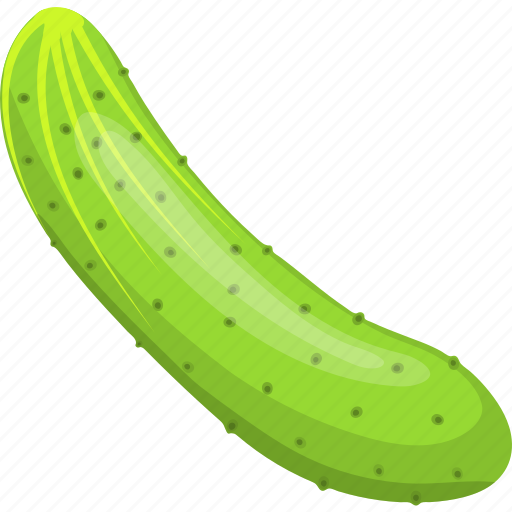 Agriculture, cucumber, flat, food, green, natural, ripe icon - Download on Iconfinder