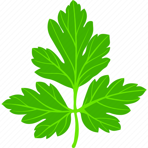 Carrot, diet, flat, food, fresh, green, vegetarian icon - Download on Iconfinder