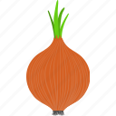 computer, cooking, flat, food, onion, red, unusual