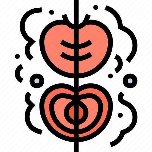 Tomato, grilled, food, cooked, vegetable icon - Download on Iconfinder