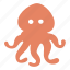 octopus, squid 