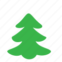 environment, fir, tree