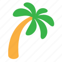 beach, palm, tree