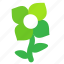 clover, flower 