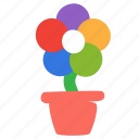 flower, pot, present