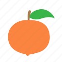 citrus, mandarin
