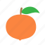 citrus, mandarin 
