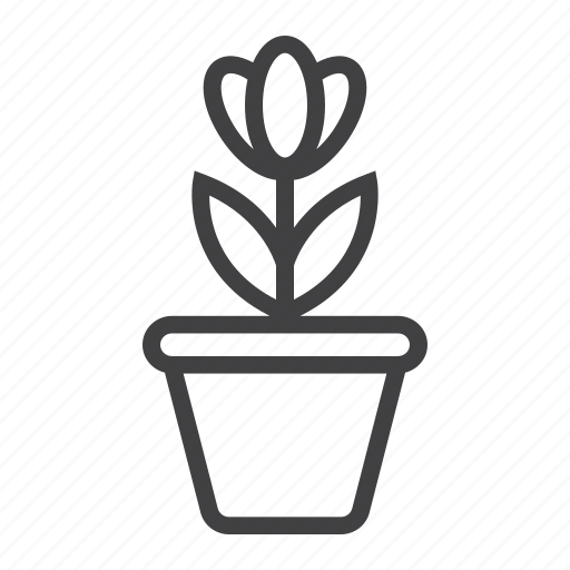 Floral, flower, garden, growth, nature, plant, pot icon - Download on Iconfinder