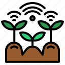 crops, garden, plant, growth, planting