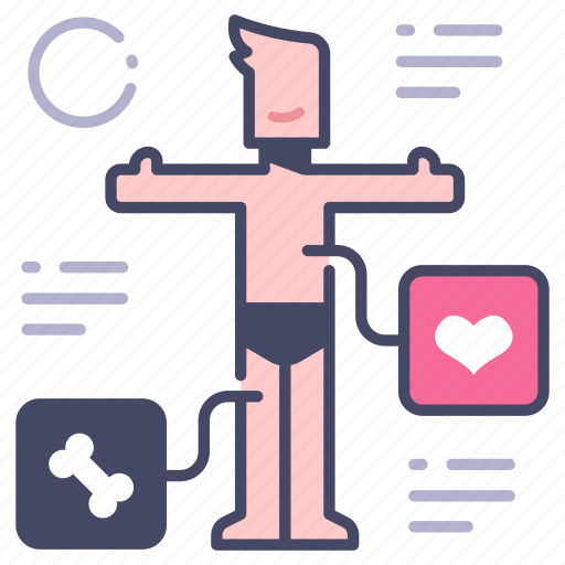 Anatomy, biology, body, health, human, medical, science icon - Download on Iconfinder