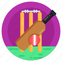 cricket equipment, sports, game, cricket, cricket match