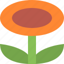 flower, game item, power up, powerup