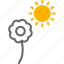 flower, garden, sun, sunflower 