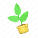 plant, growth, forest, leaf, flower, pot, trees 