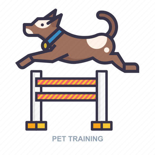 Dog, game, pet, training icon - Download on Iconfinder