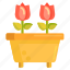 flower, flower pot, flowers, pot, rose, roses 