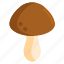 fungi, fungus, mushroom, shroom 